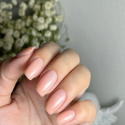 Rosy Brown Builder Gel Collection Nude Series set of 8